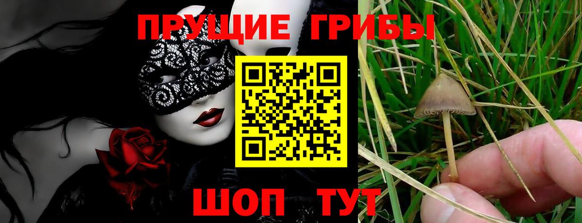 Галлюциногенные грибы мухоморы Новокубанск