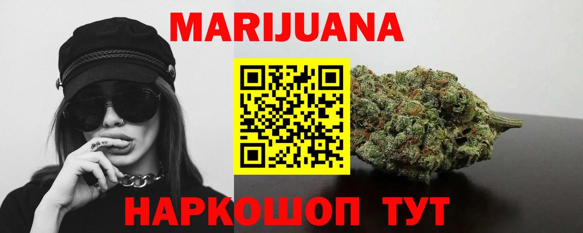 Канабис сатива Новокубанск